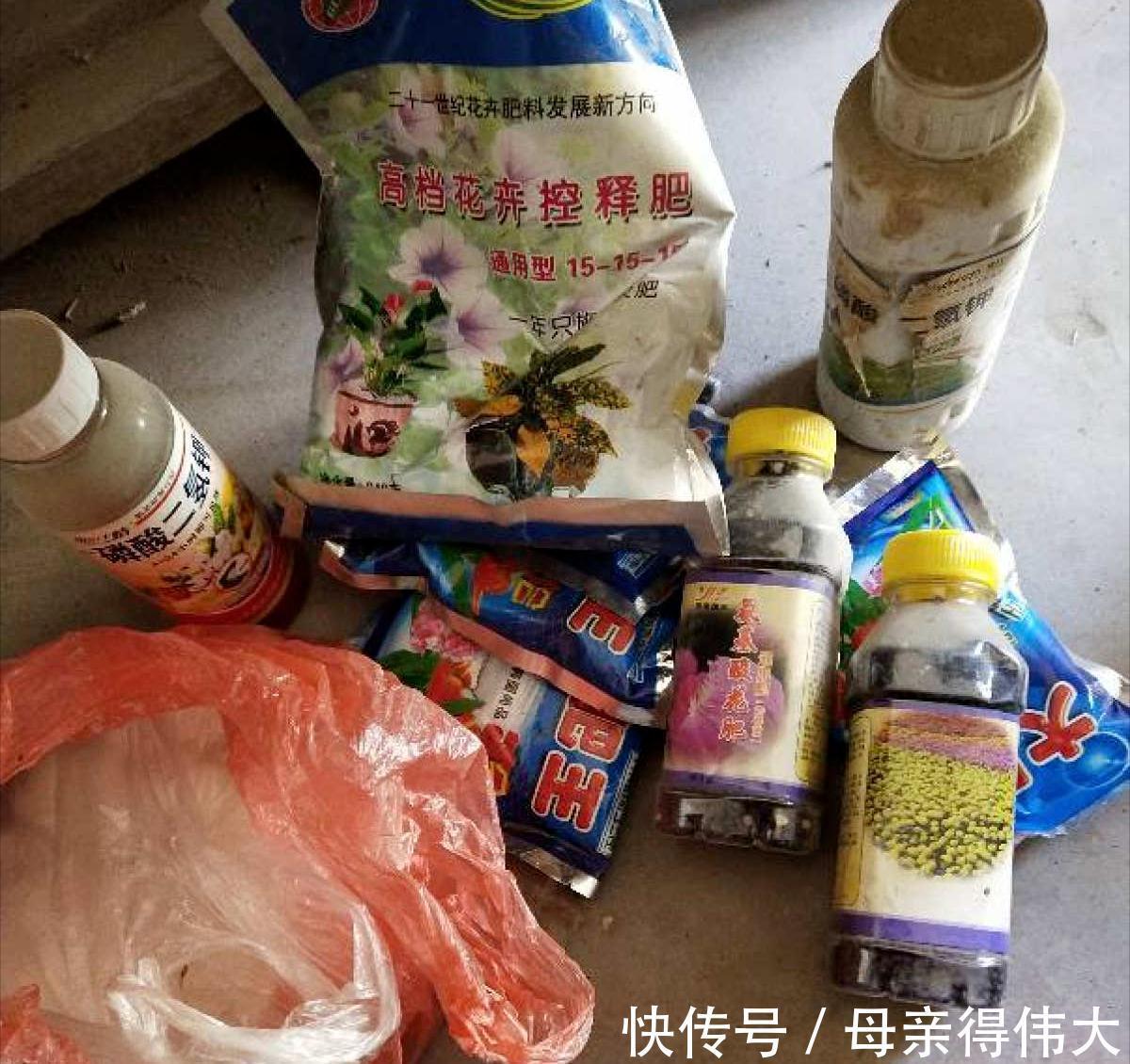 养花牢记“3口诀”,啥花都能养好,阳台变花园,四季花不败