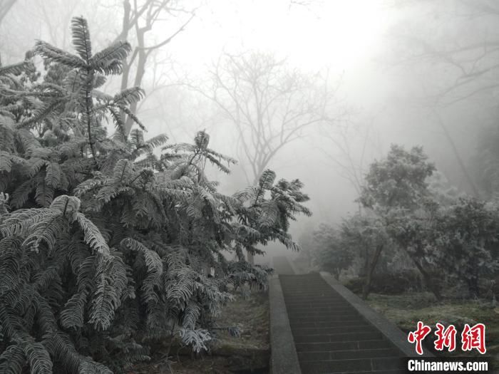 寒潮|湖北武当山现雾凇景观