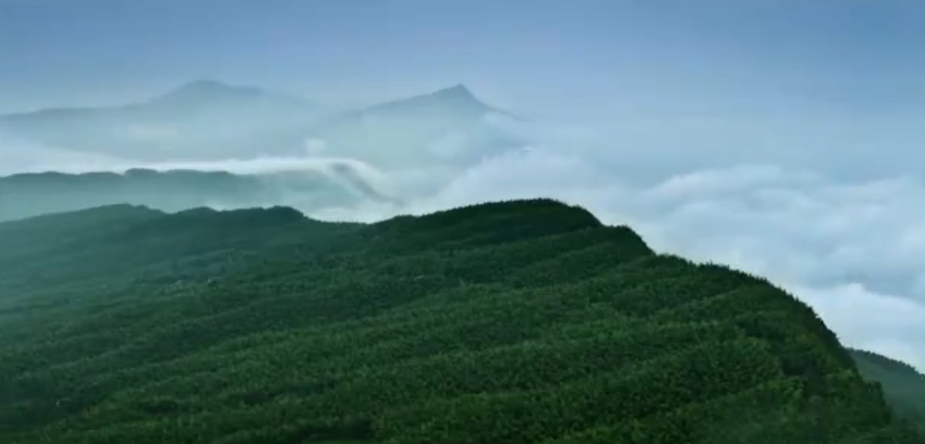 蜀南竹海|约起！去看宜宾的“海”