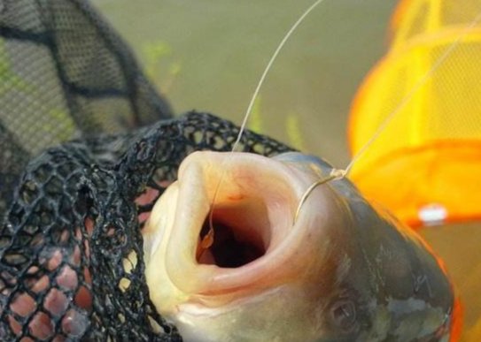 两种经典实用的水库带饵调漂法，必收藏！