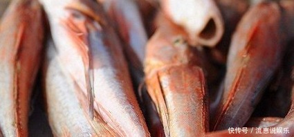 医生从不吃的三种鱼,也不让家人吃,多数人还当山珍美味