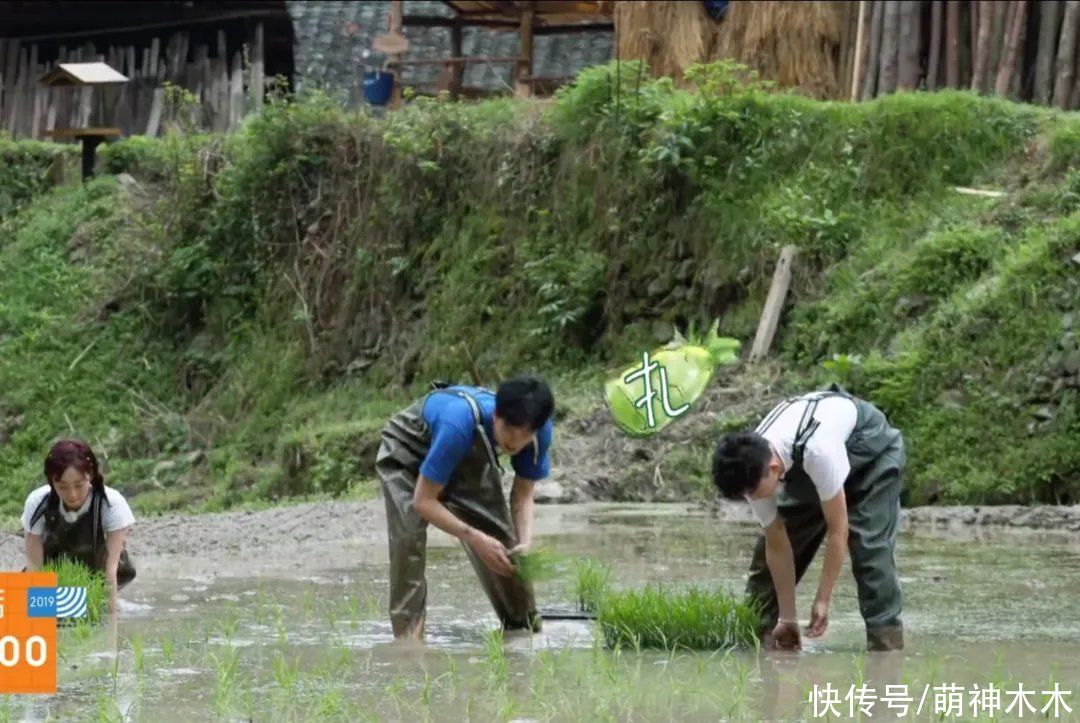 向往5|《向往5》出现顶级食材，五斤和牛超四千，网友吐槽违背节目初衷