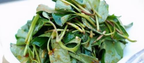 女性再没钱，也要吃以下食物，养血益气，减少皱纹，减肥瘦身