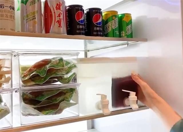 保鲜袋|“强迫症”姑娘整理冰箱，食材严格收纳归类，网友：引起舒适
