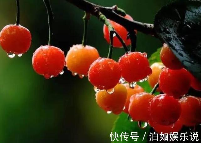 皮球儿|宝宝在超市吃了一颗樱桃,被骂没教养,这位妈妈压下怒气怼得好