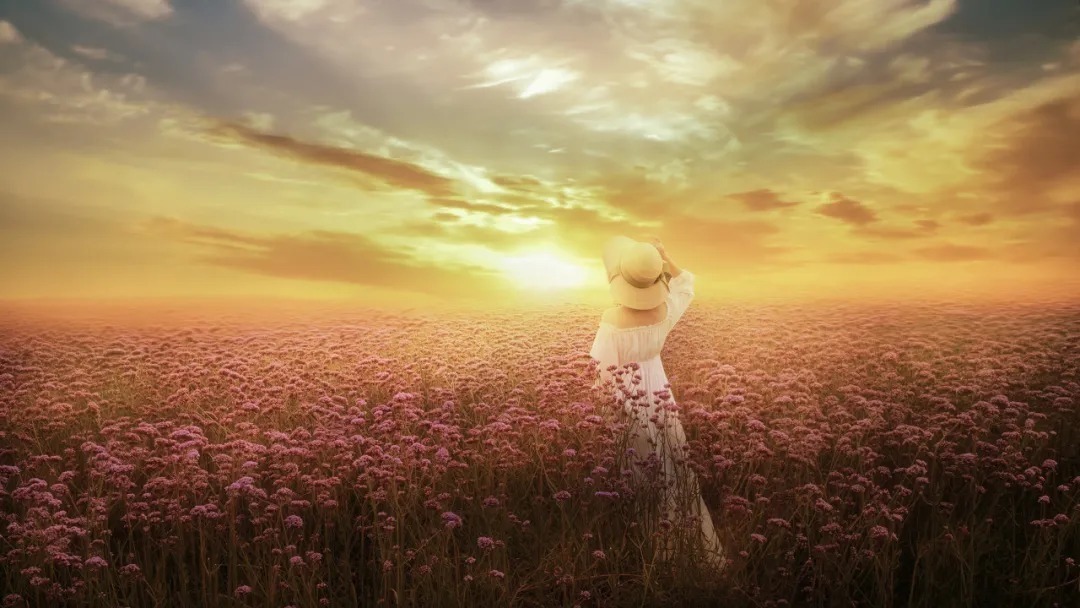 菜根谭|人生最高级的活法:傻、诚、笑、空、容