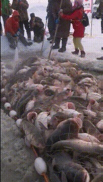 |搞笑GIF:小伙子,你不烫破几身衣服,你是不知道老妈又多狠啊