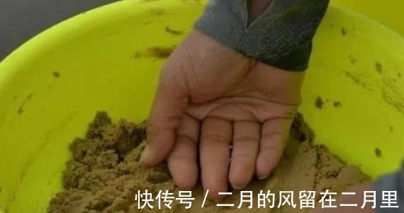 线组|有鱼无口,难怪越钓越烦,看老司机如何解决