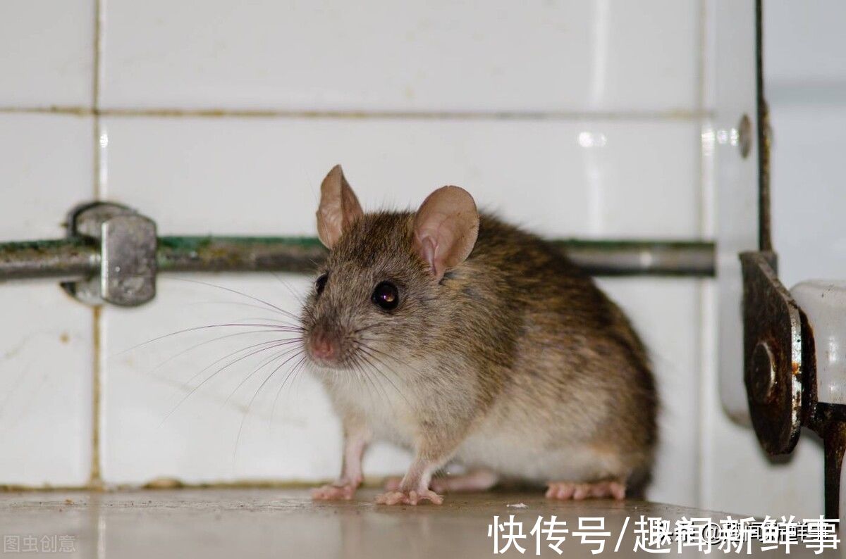 |比段子还精彩:911接线员分享那些令人啼笑皆非的奇葩报警事件