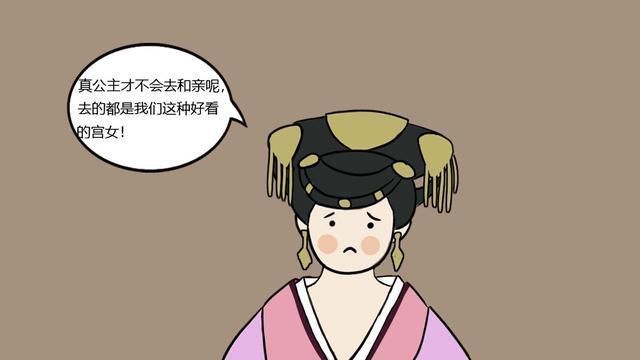 呼韩邪单于#汉匈和亲数十载,嫁出的公主数量众多,王昭君缘何名垂千秋