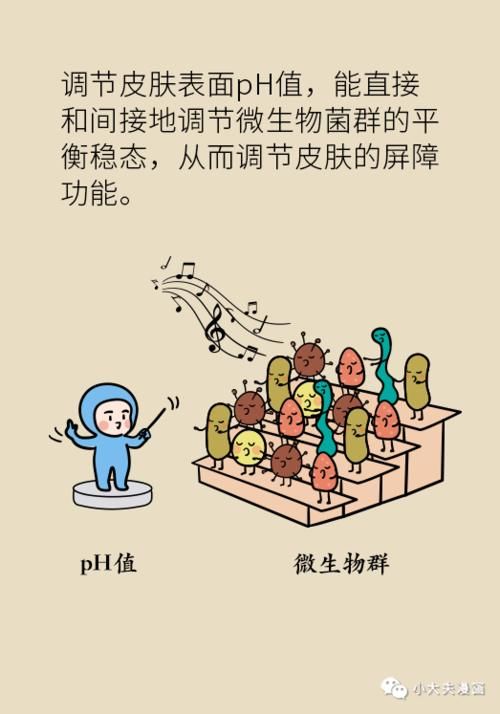 皮肤表面酸碱度居然这么重要！好皮肤需要「科学喂养」！
