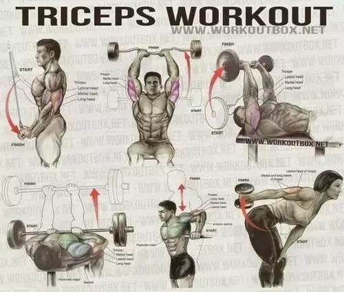 健身房|健身房常用训练图解，每张图都是训练计划！