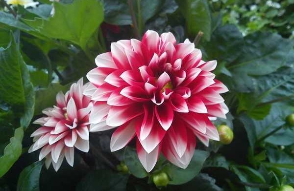 观其廉$俗话说日防夜防,小人难防,只需默念4句话,小人跪着求放过!