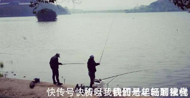 钓法|教你4招“风天钓鱼法”,鱼上得比平时还快,往后钓鱼无风不欢了