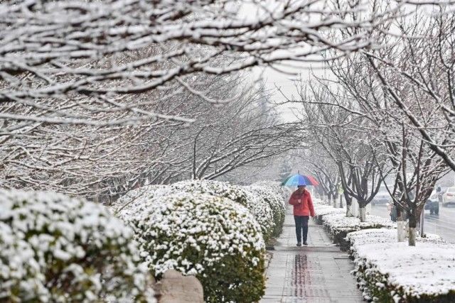 景山公园|雪，飘啊，飘啊，飘啊……