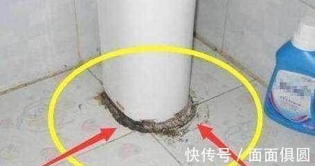 老丈人|房子刚装完!老丈人气冲冲指出16大装修错误,听完真令人炸毛