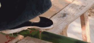 生活|当你还在梦想退休生活的时候,90后已经过上了你想要的田园生活