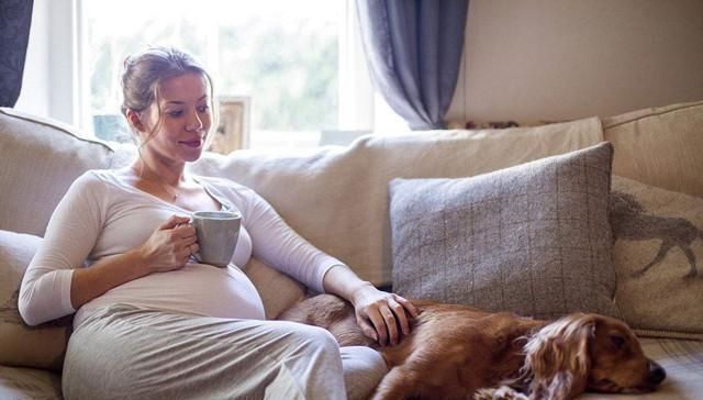 胎儿|按时产检却生下“畸形儿”这些问题检查时很难发现,孕妈要知道