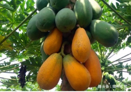 肝阳|女性到了35岁,常吃3种食物,美白肌肤,缓解痛经,预防子宫早衰