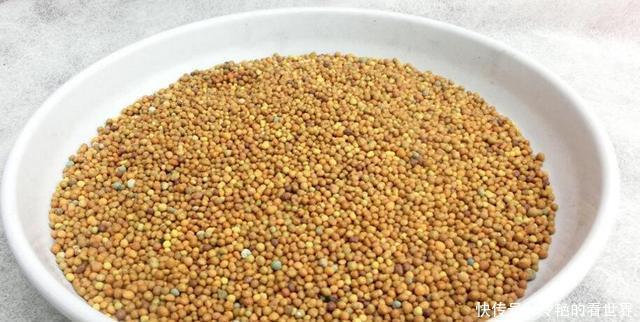 花卉|花卉盆栽的施肥方法,你真的会吗