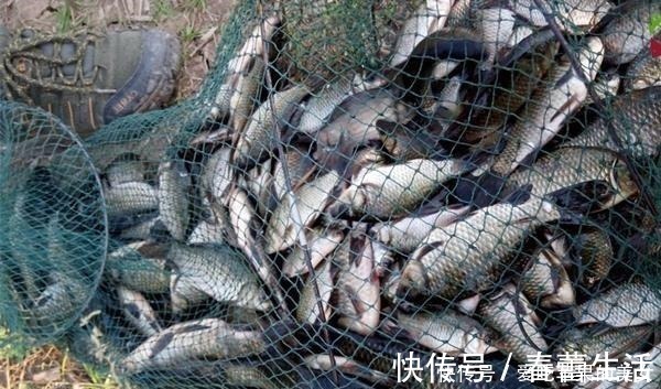 冬季天寒地冻，钓鲫鱼发窝更慢，打窝用这些招数，聚鱼效果翻倍