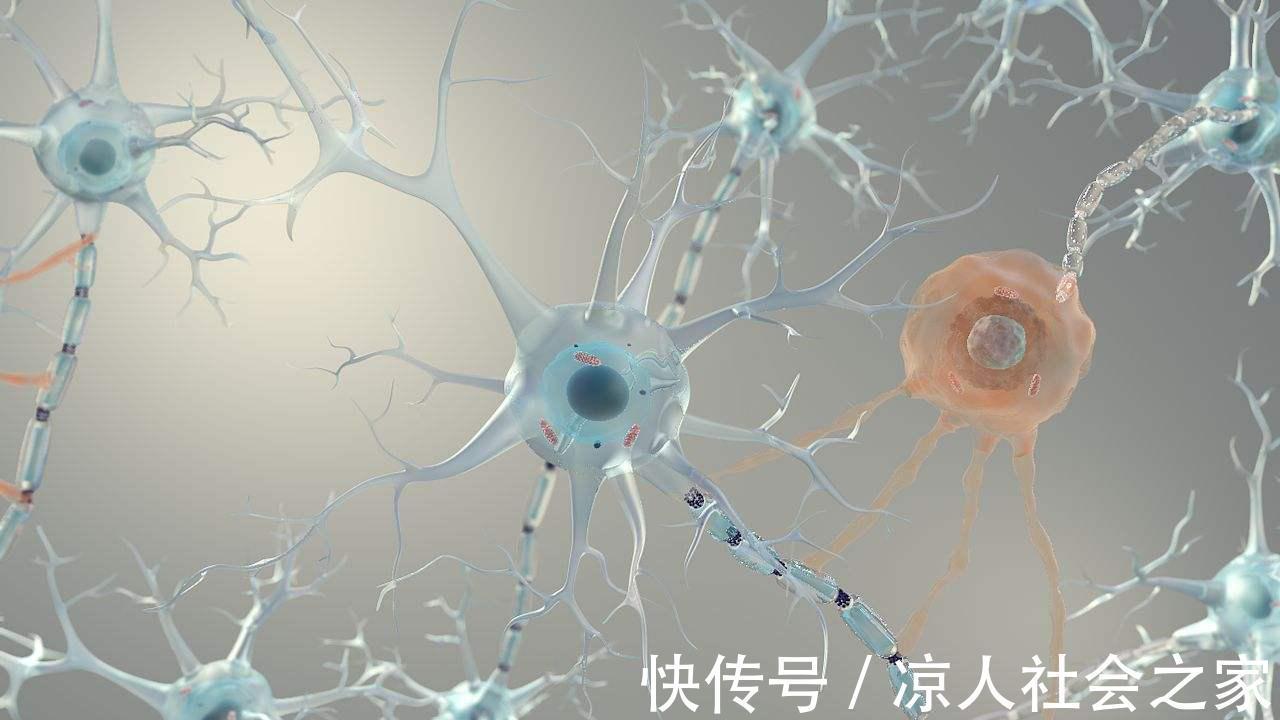 帕金森病|失眠会引起老年痴呆!医生忠告:50岁开始,睡前做好这5件事