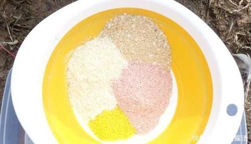 鲫鱼|野钓必杀技:提升中鱼率的几个靠谱招数,钓鱼黄金季节,正好使用