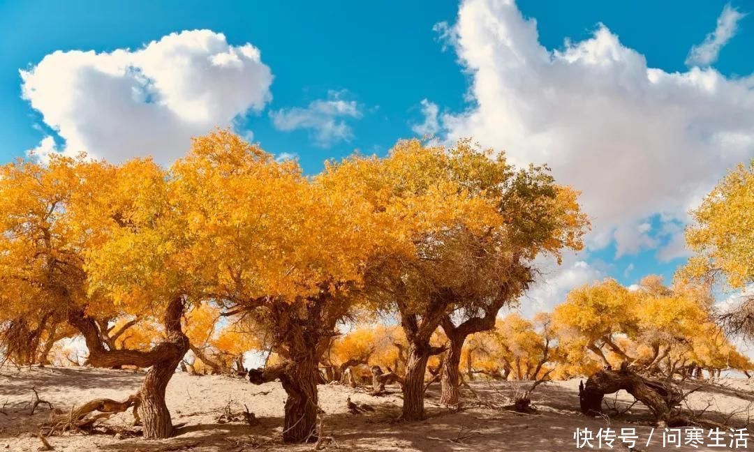 美景|中国最震撼的公路穿越美景无数，美国66号公路都嫉妒