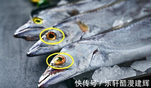 带鱼别再红烧了，多加一个鸡蛋，不清蒸不油炸，上桌人人抢着吃