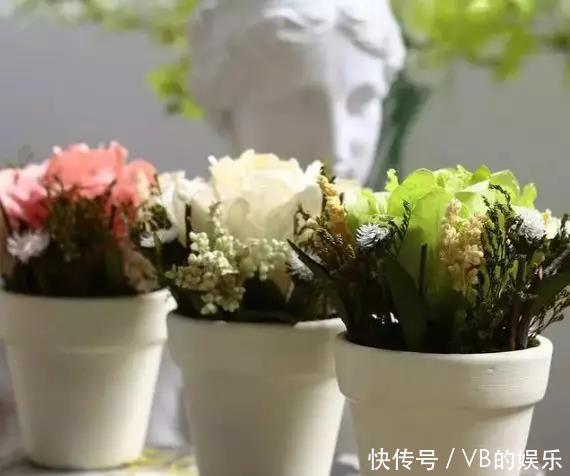 几种很耐寒的花,在冬天依旧开花美艳