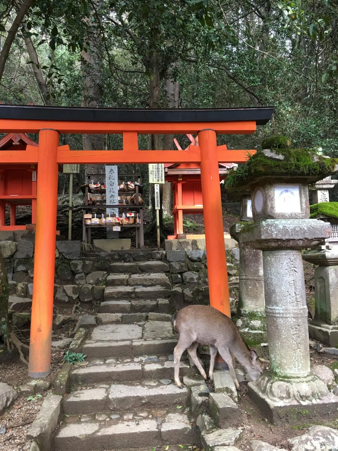 往日旅途时光系列之----初探东瀛