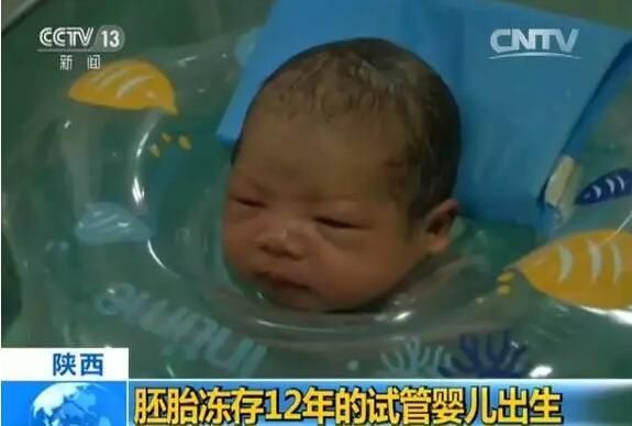 法律、伦理、健康……代孕,还是代价?