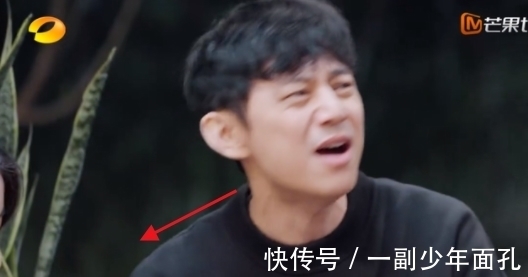 入味|這么尷尬?何炅剛吹捧,那英后腳抱怨“沒入味”,黃磊廚藝遇危機(jī)