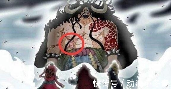 动机|海贼王 破案了! 尾田公布凯多腹部伤疤来历, 网友 果然是他砍的