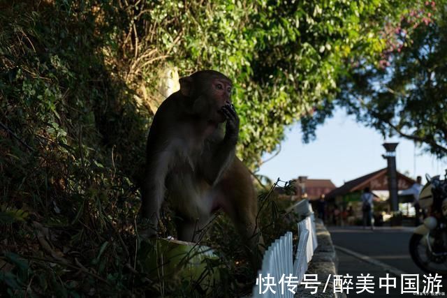 鹿回头风景区|走进鹿回头风景区，登高远眺，三亚湾美景一览无遗