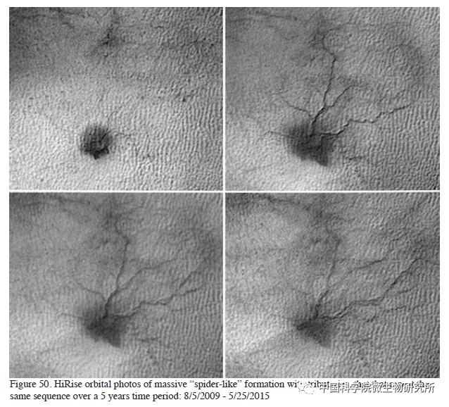 非生物 火星上存在真菌吗？