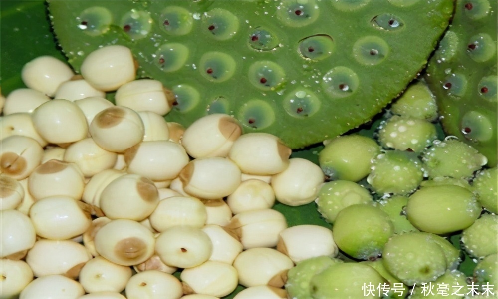 女性过了40岁,推荐吃3种食物,滋阴补气,补血养颜,早吃早好