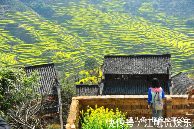 村子|中国最有头脑古村，一年四季都是秋，游客明知是假也愿上这个当