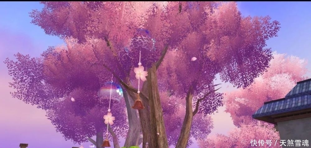 秀场|江湖秀场｜院中独坐，闲看庭前落花
