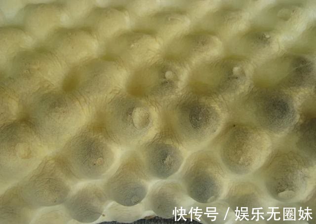 工艺|家里智商税top1，有钱也别瞎买