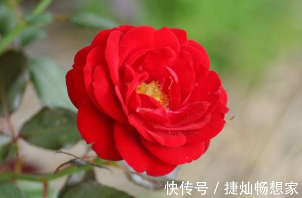 长寿!俗话说人在做,天在看,多做4件积德事,晚年必将长寿又多福!