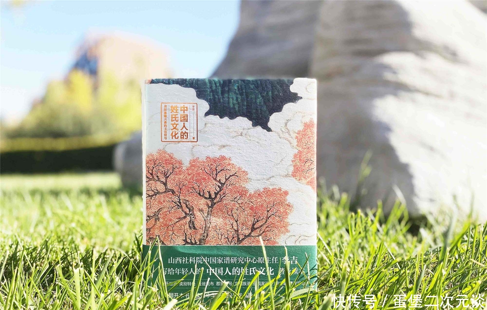  大姓|中国人到底有多少姓氏？来看看你的姓氏起源是什么