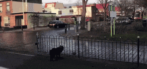 |搞笑GIF趣图:拔河促进团结，唯一不好的就是费鞋！