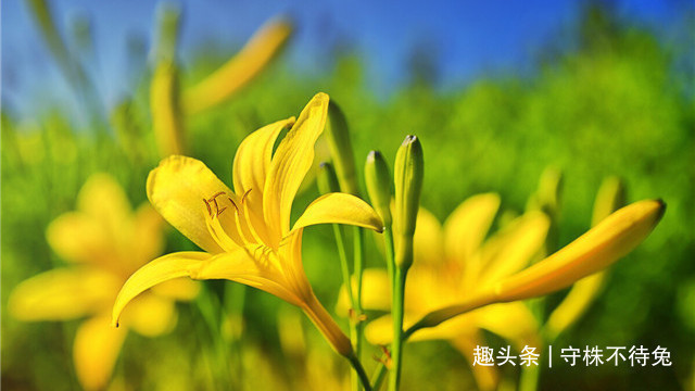 世界第一|22个冷知识即便是冷知识达人,或许也会感到荒诞的有趣事实