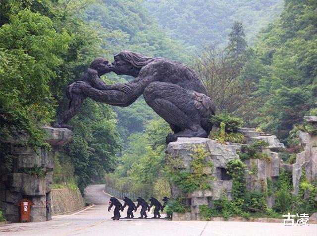 神农架到底有没有野人七八十年代,中国3次考察验证其真实性