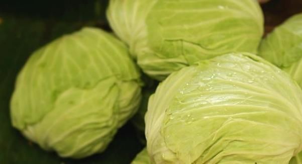 清理血管|医生提醒:几毛钱一斤的廉价菜,经常吃,养胃防癌清理血管!