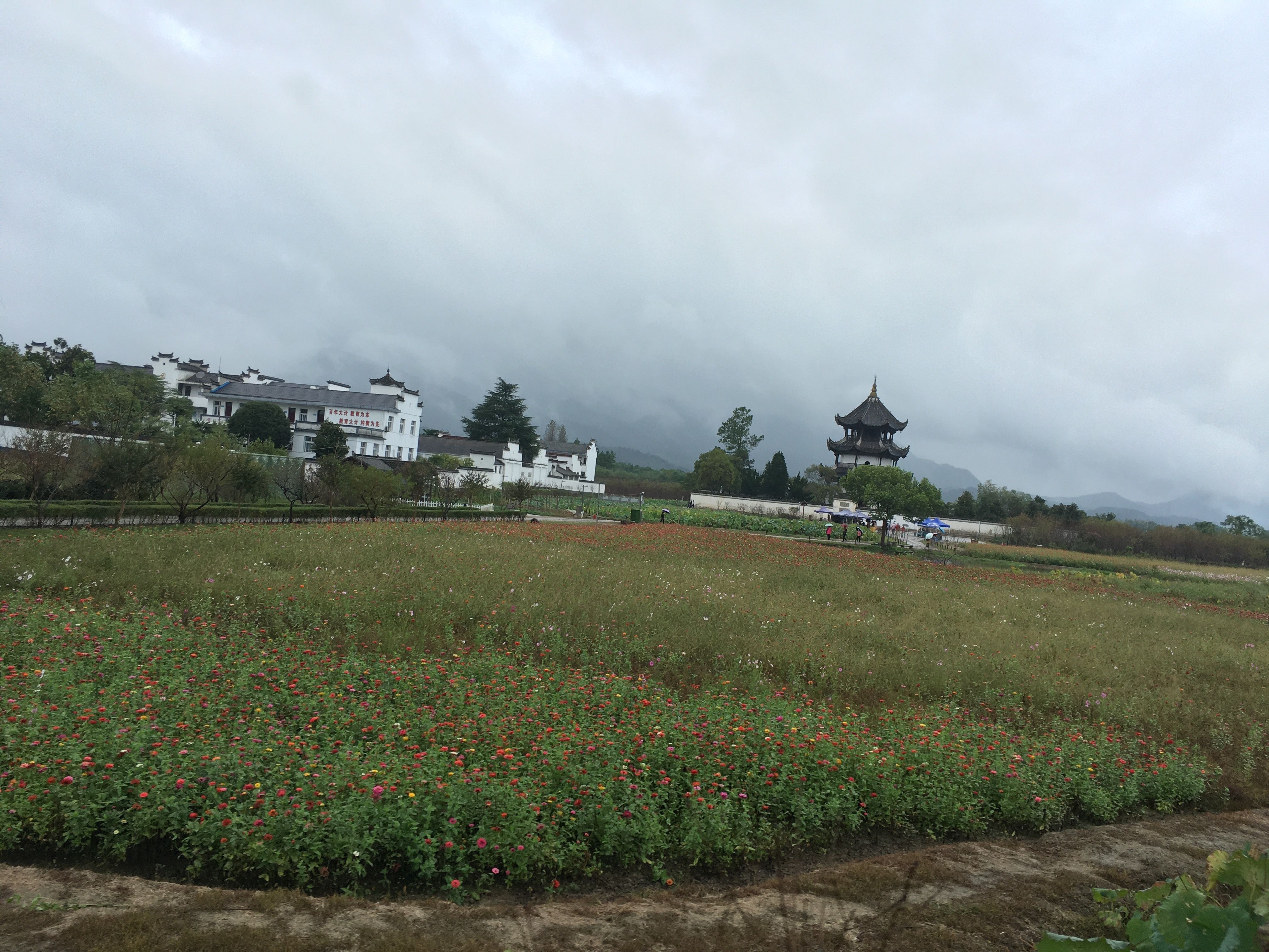 风景|#沃尔沃XC40# 皖南自驾游 爬中国第一山