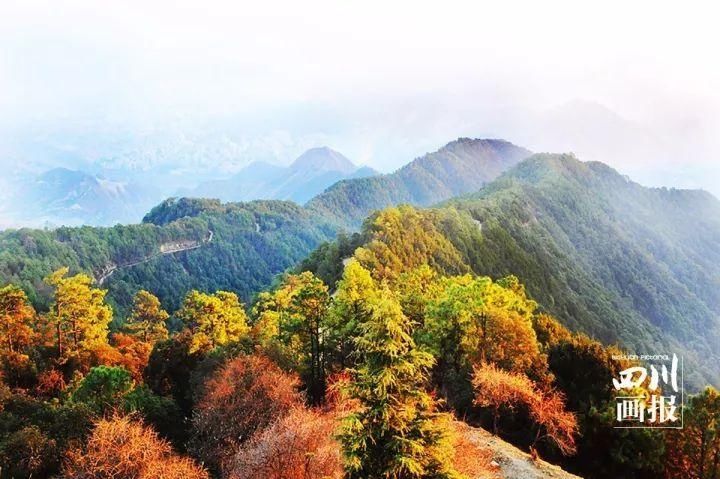 有山有水享清凉，打卡这些夏日好去处|清凉一夏·遇见星空 | 夏日