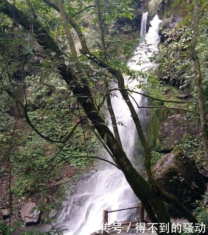 避暑|中国最美峡谷风景区-卧龙谷 最高的避暑休闲、清心养身的天然胜地