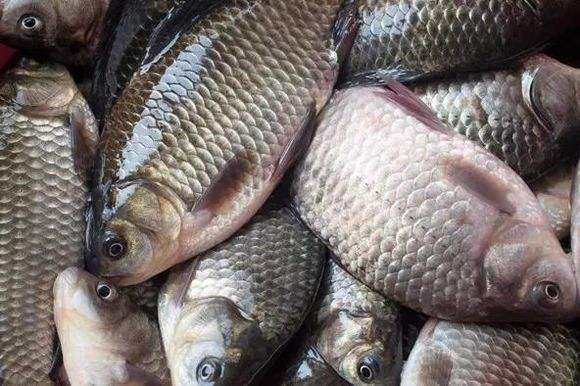 菜场“最害人”的鱼，别起早抢了，卖不完鱼贩子都扔，孩子还在吃